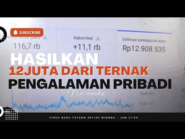  CARA MENGHASILKAN 12 JUTA DARI MEMBUAT CHANNEL TERNAK DI INTERNET DAN DI YOUTUBE