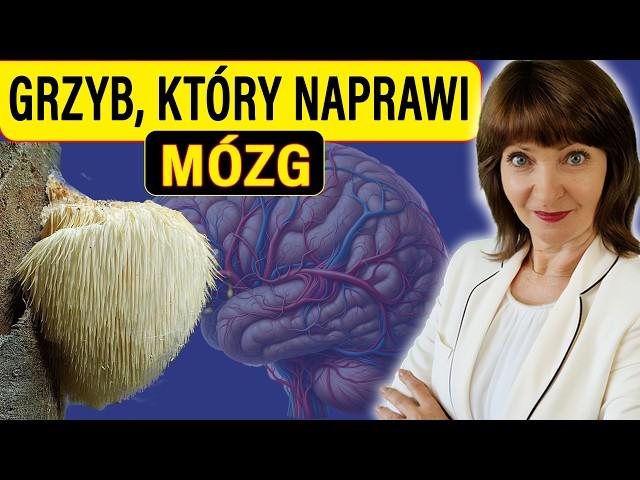 Grzyb, który naprawia MÓZG - Fenomen soplówki jeżowatej