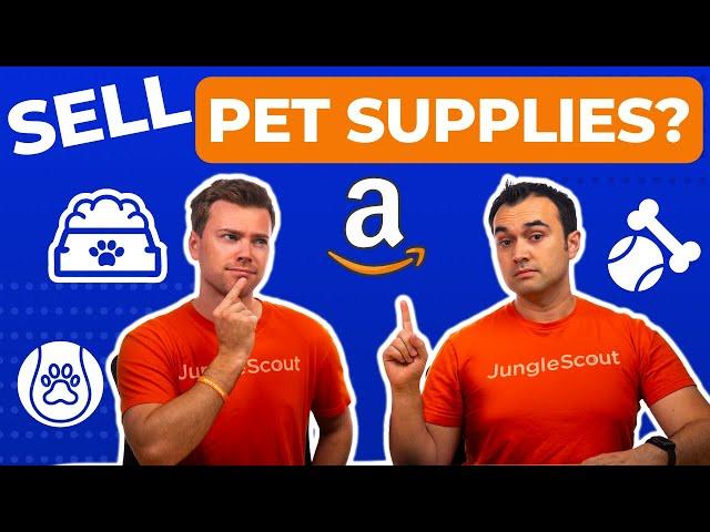 Watch Us Find a Pet Product to Sell on Amazon