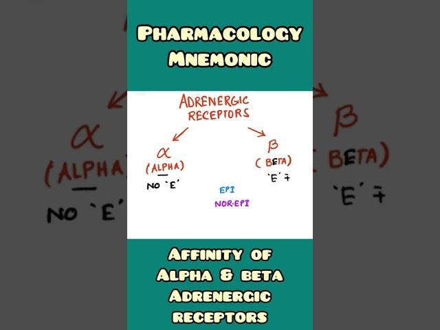 Adrenergic Receptor Affinity- mnemonic | Alpha vs Beta | Physiology, Pharmacology | #shorts