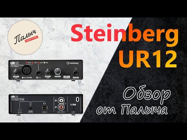 STEINBERG UR12 USB audio interface || Review from Palych