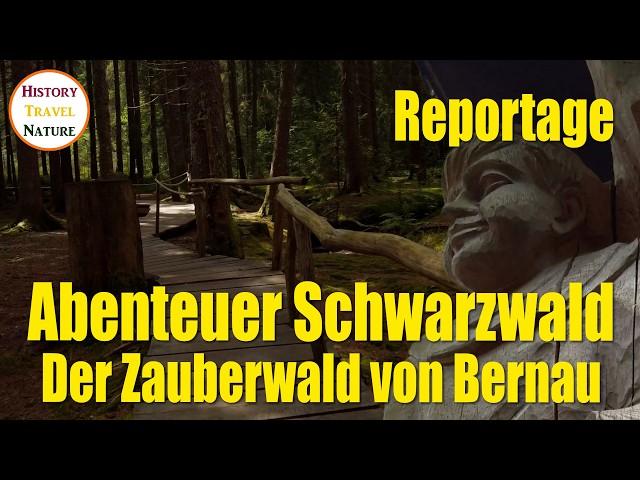 The enchanted forest of Bernau | Adventure Black Forest | Excursion destinations Baden-Württemberg