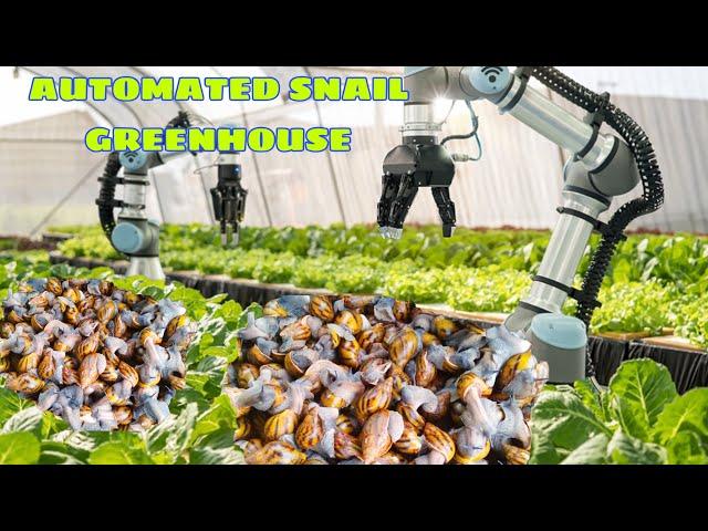 How to construct ultra modern snail greenhouse| 2000 capacity commercial urban snail farm