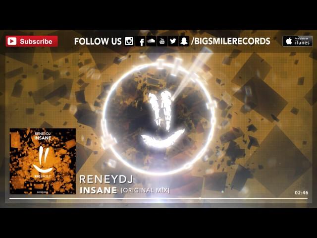 ReNeyDJ - Insane [BIGSMILE]