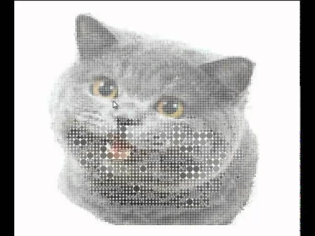 Cool Dot turns into Image of Cat