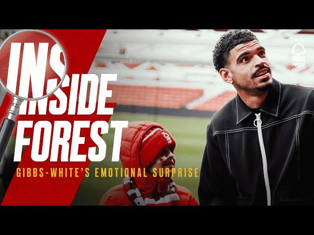 Inside Forest  | Gibbs-White Surprises Inspirational Fan 