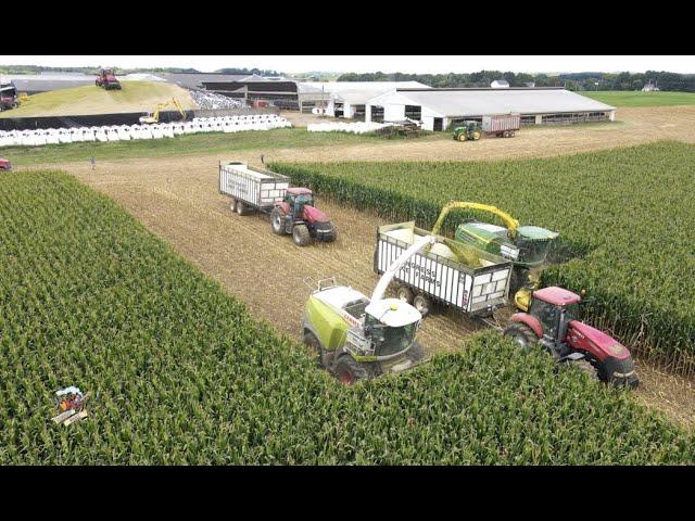 Congress Lake Farms 2021 Corn Silage Harvest