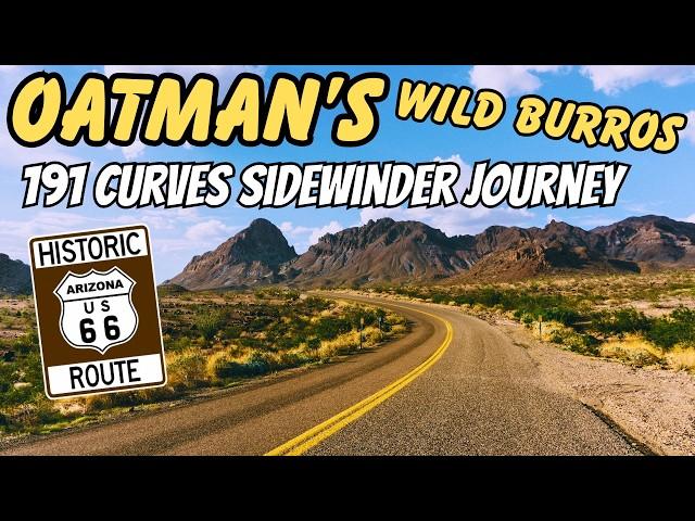 (Wild Burros & 191 Curves): Oatman's Route 66 Adventure