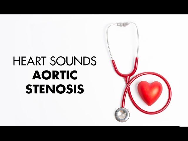 Aortic Stenosis - Heart Sounds - MEDZCOOL