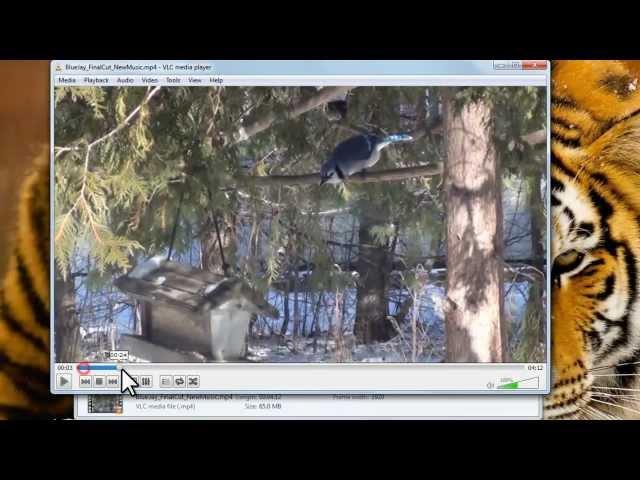 VLC Media Player - How to Use [Tutorial]