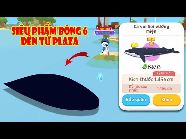 (Play Together) Lại 1 Siêu Phẩm Vương Miện Đến Từ Plaza "Típ Câu Độc Lạ" Cá Voi Sei Vương Miện