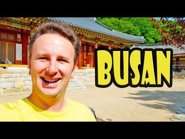 Busan Gamcheon Culture Village & Temple Stay in Busan - Korea Trip Day 3