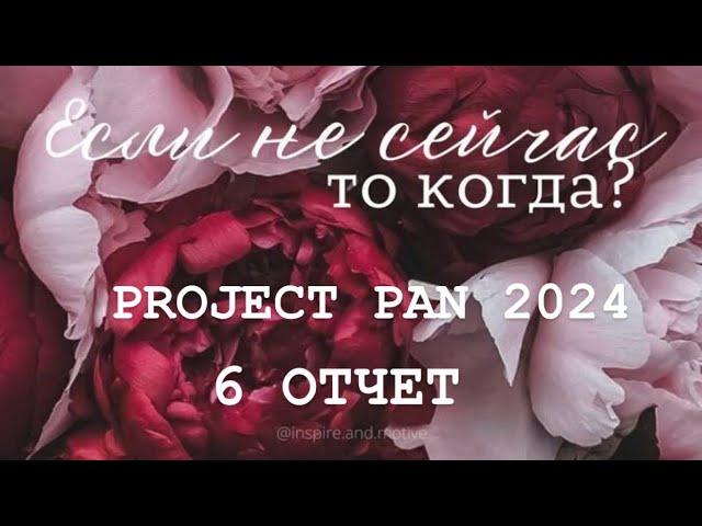 Бесконечный PROJECT PAN 2024 Отчет 6