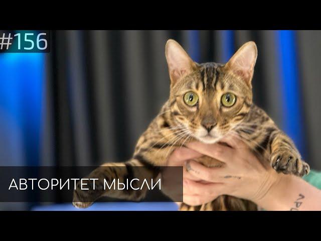 Патрис Квахаджелидзе | Авторитет Мысли (AM podcast #156)