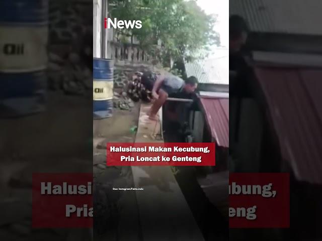 Halusinasi Makan Kecubung, Pria Loncat ke Genteng #shorts