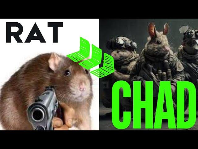 Rat to Chad Challenge | ESCAPE FROM TARKOV LIVE w/ Zenii