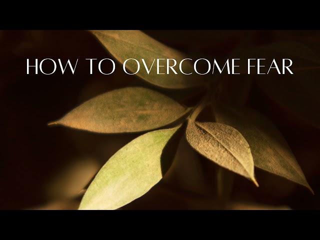 How to overcome fear #overcomefears #fear