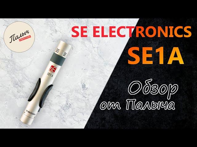 SE ELECTRONICS SE1A - КАРДИОИДНЫЙ МИКРОФОН С КОНДЕНСАТОРНЫМ КАПСЮЛЕМ || Обзор от Палыча