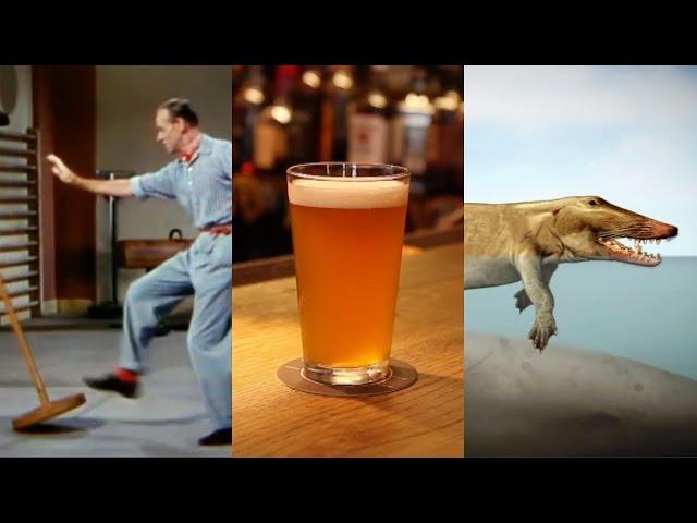 Life In A Beer | SKUNK BEAR