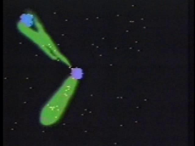 starlogo ants (1990 or 1991)