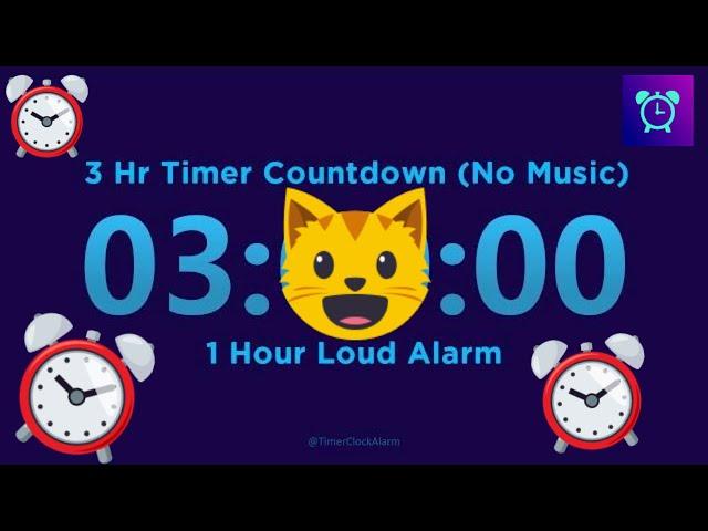 3 Hour Timer Countdown (No Music) + 1 Hour Loud Alarm