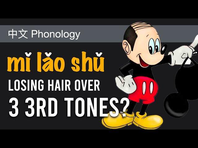 Multiple third tones | Topics in Chinese Linguistics | CZH308