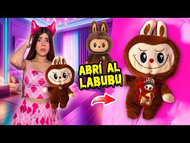 ABRÍ un PELUCHE de LABUBU y descubrí LO QUE HACEN estas CRIATURAS️ | Ani Cat