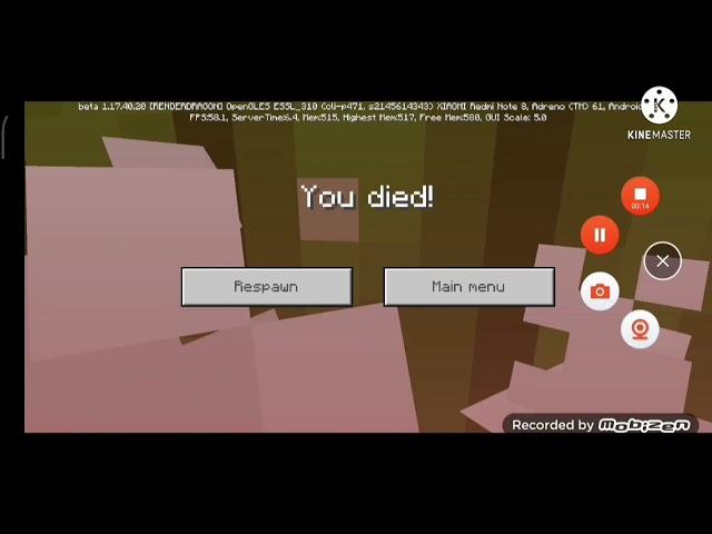 Minecraft You Died