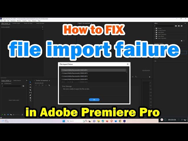 Solution of file import failure Error in Adobe Premiere Pro - Hindi