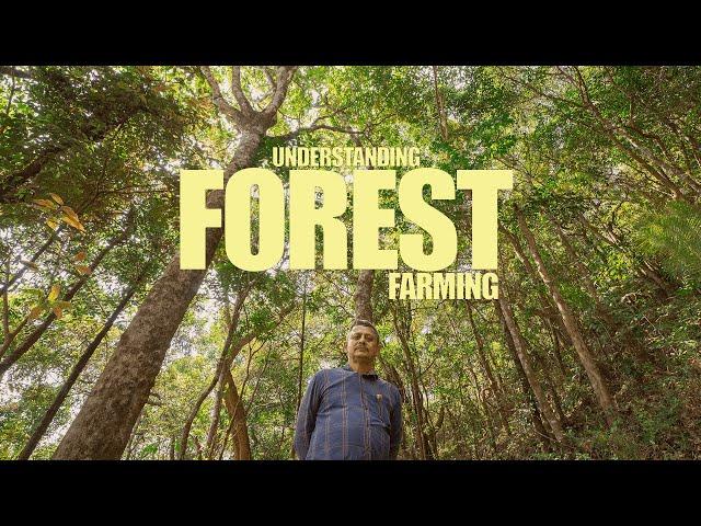 An engineer's mission to farm without removing the forest