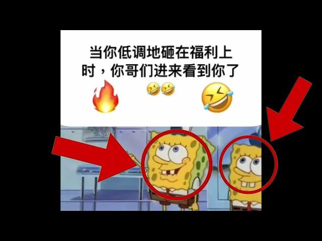 me when the 当你低调地砸在福利上 时,你哥们进来看到你了 (squidward spunchbop hood irony)