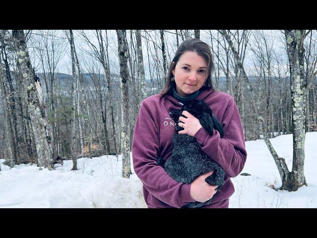 Raising Meat Rabbits in Below Freezing Temperatures!