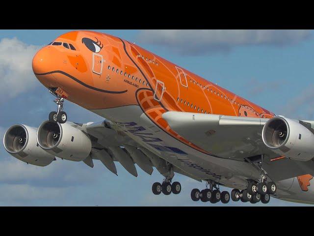 TOP 10 AVIATION MOMENTS of 2020 - AIRBUS A380, HARD LANDINGS, BIRDSTRIKE ... (4K)