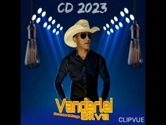 Vanderlei Silva forrozão Kalunga música nova 2023 CD completo