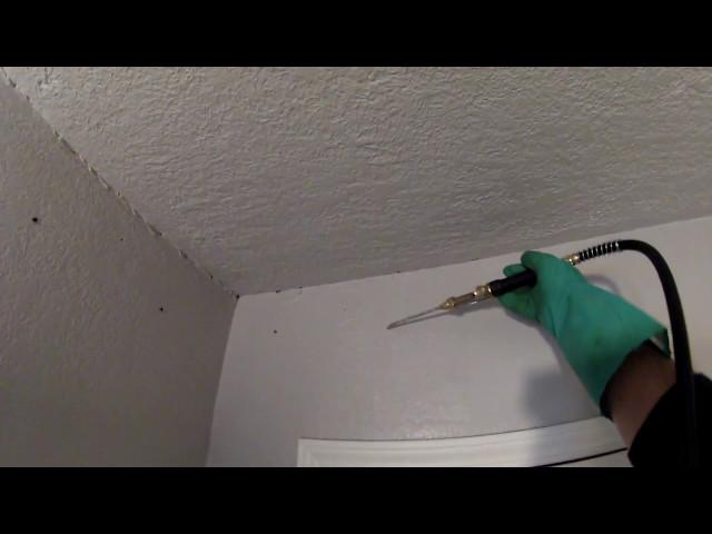 how  treat wood  inside the  wall from termites permanently