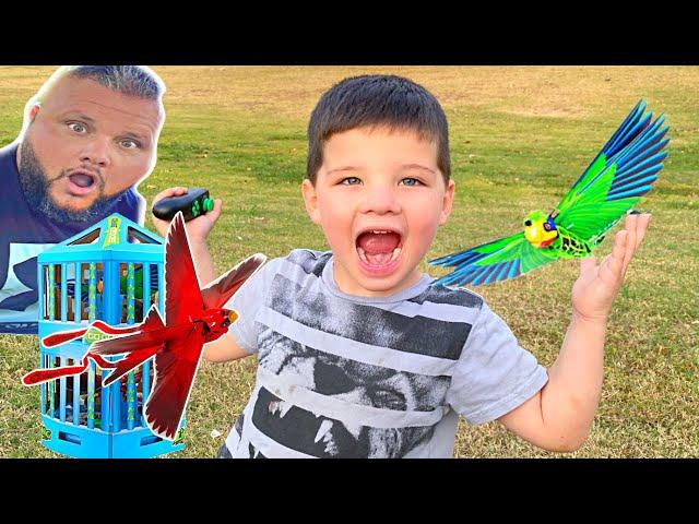 Caleb & Dad Play with Go-Go Birds PET TOYS! new pretend pet animal friends