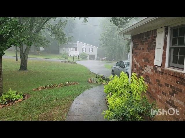 It's Raining. So happy and the plants really needed this. GA/zone 8a