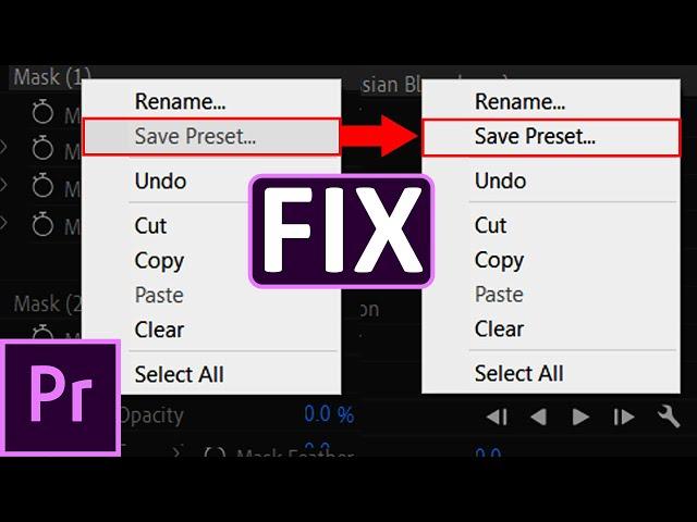 Save Preset Is Greyed Out Premiere Pro