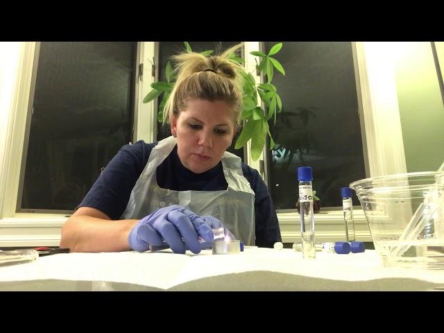 Melanie Berniklau salt tolerance testing part 2