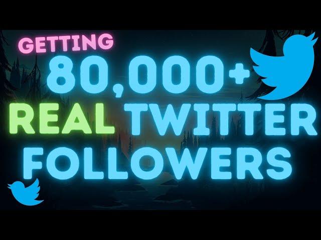 How To Get 80K+ Twitter Followers - Twitter Bot Tutorial