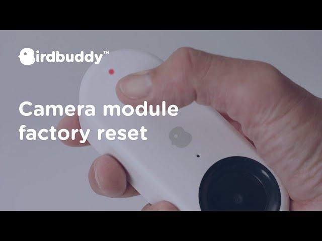 How-To: Factory Reset – Bird Buddy Tutorial