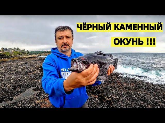 МОРСКОЙ ОКУНЬ. ПРОБУЮ НОВОЕ МЕСТО НА ОКЕАНЕ. РЫБАЛКА В США. BLACK ROCK FISH.