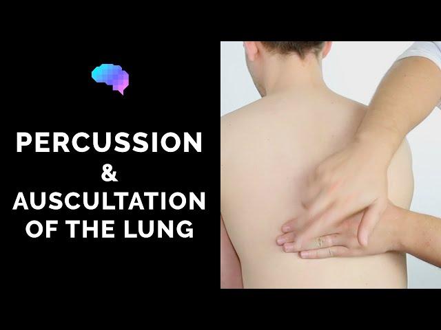 Percussion & Auscultation of the Lungs - OSCE Guide | Clip | UKMLA | CPSA | PLAB 2