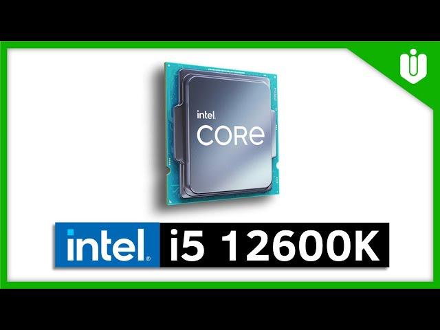 Intel 12th Gen i5 12600K Benchmark [What is THIS PERFORMANCE!?]