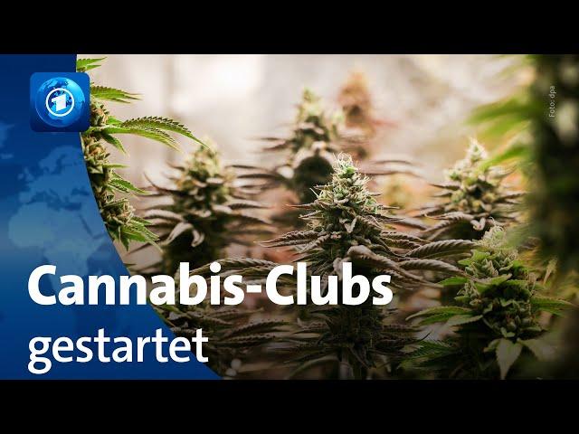 Cannabis-Clubs dürfen in Deutschland aktiv werden