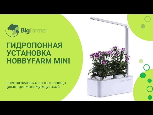 Домашняя умная грядка гидропонная установка для подоконника HobbyFarm Mini