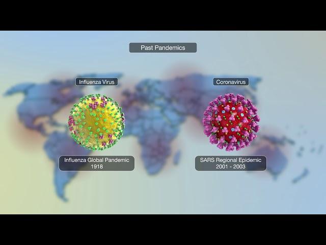 Introduction to Coronavirus and PastPandemics shown using 3D medical animation