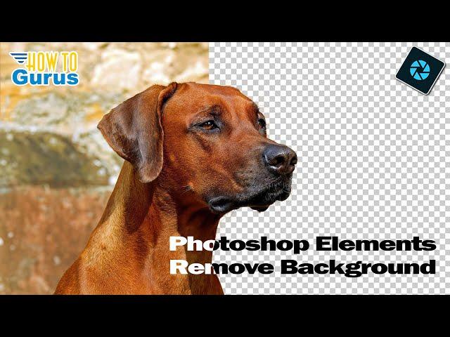 Remove Backgrounds Like a Pro in Photoshop Elements – EASY & FAST!