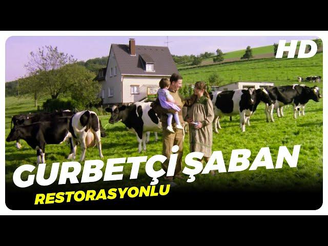 Gurbetçi Şaban | Eski Türk Filmi Tek Parça (Kemal Sunal)