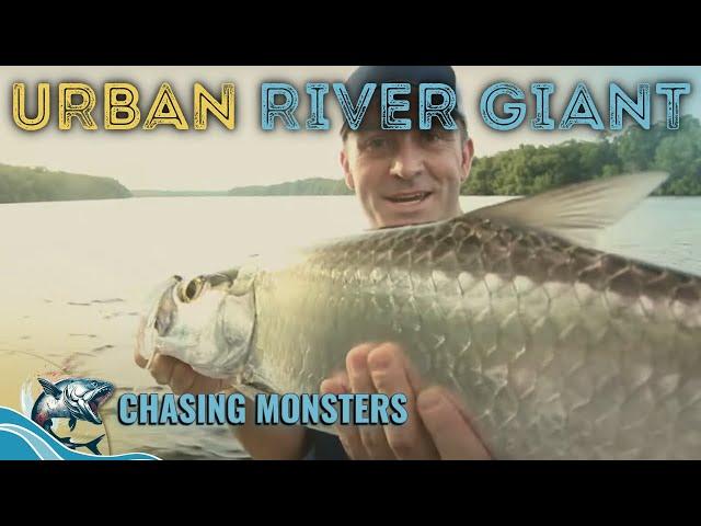 Mangrove Mystery: What's Next? - Chasing Monsters - Fishing Show